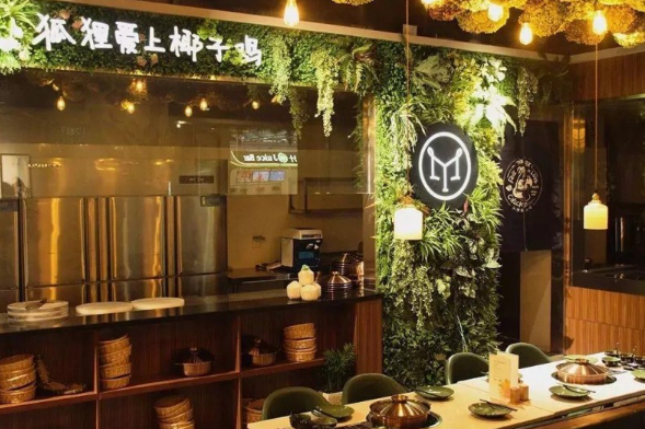 狐狸爱上椰子鸡