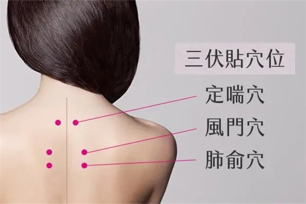 圣原中医理疗产品 门店图片