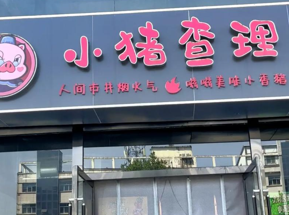 小猪查理