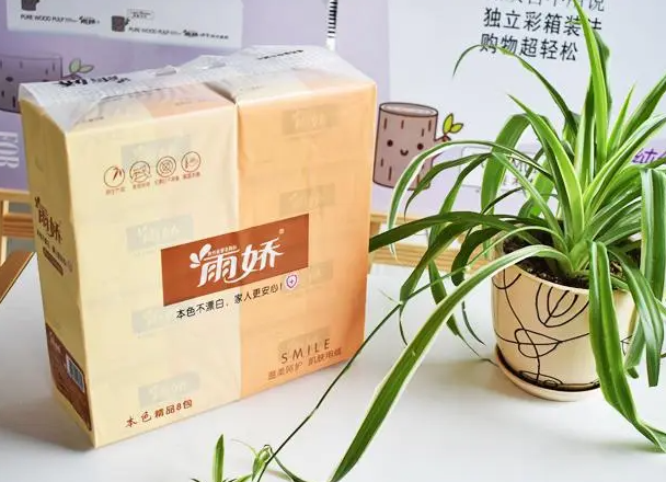 雨娇纸制品
