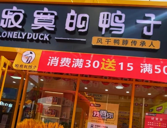 寂寞的鸭子