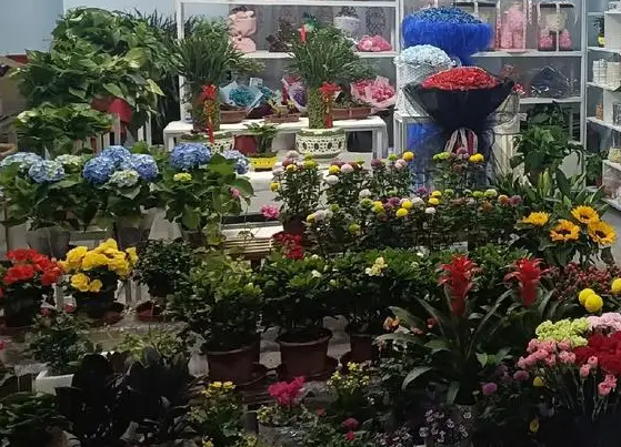 热恋鲜花