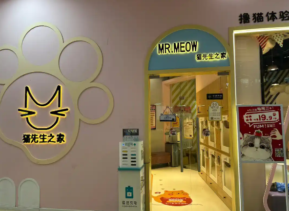 猫先生之家