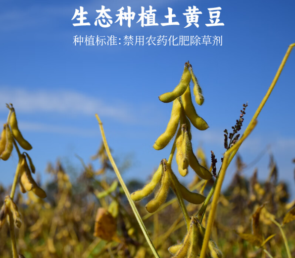 谦益农业