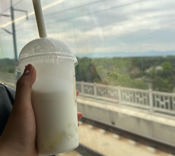 卡西欧奶茶