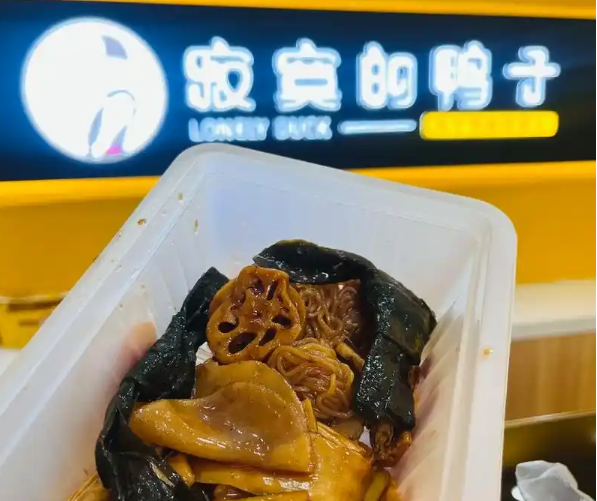 寂寞的鸭子