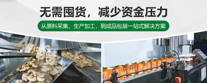 森林老爹坚果
