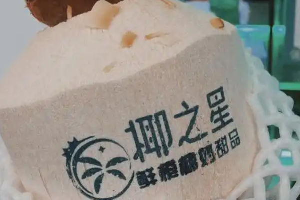 椰之星鲜榨椰奶甜品